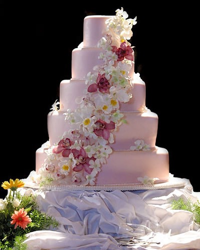 bridefu-wkly-wedding-cake1