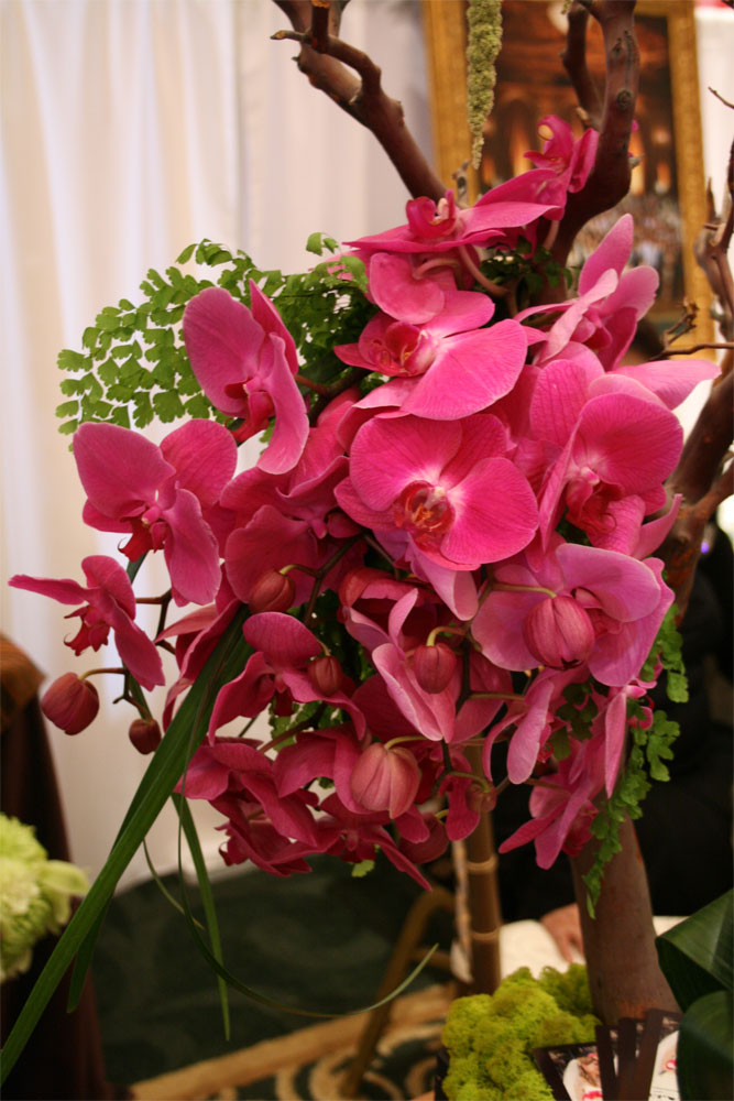 asian-phael-bouquet